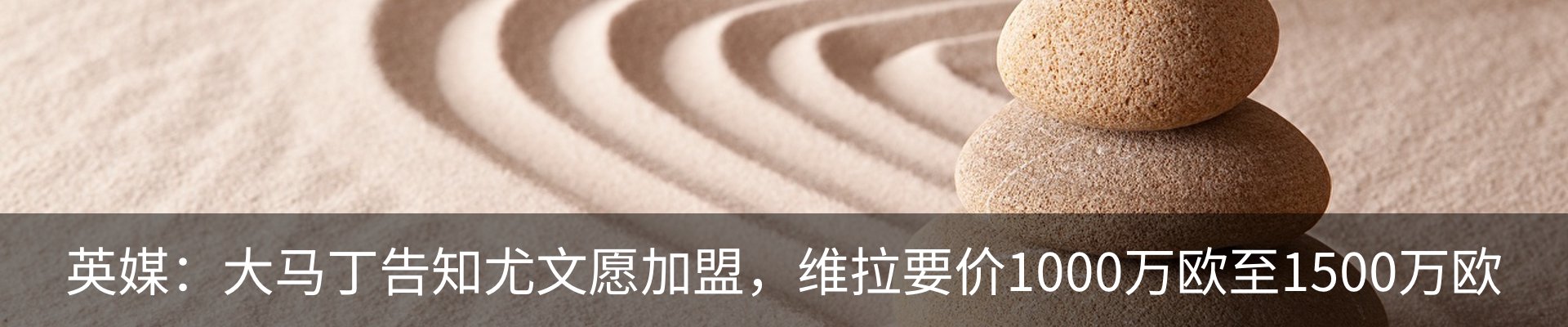 最新动态
